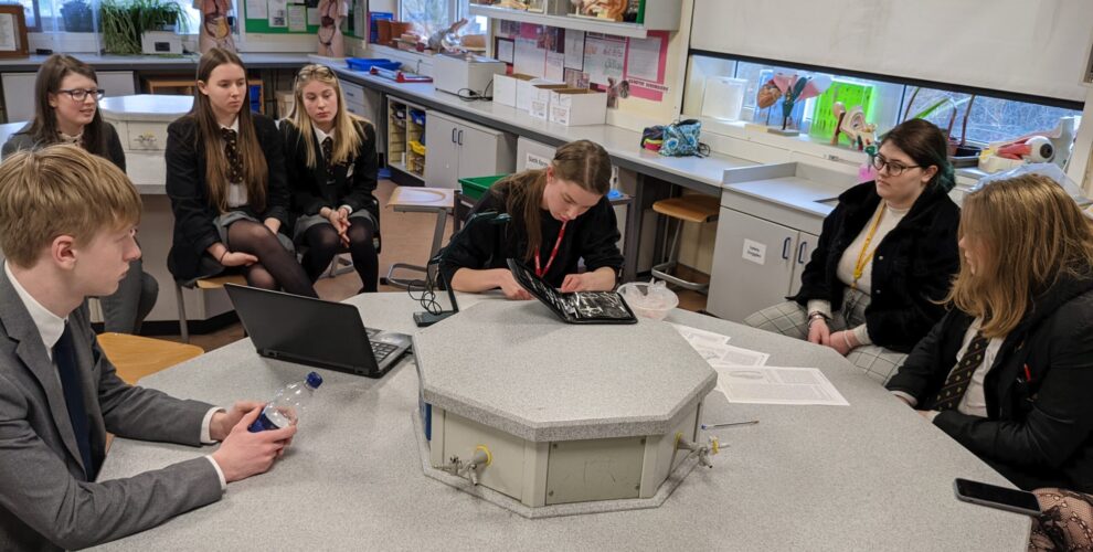 Isobel demonstrated dissection technique